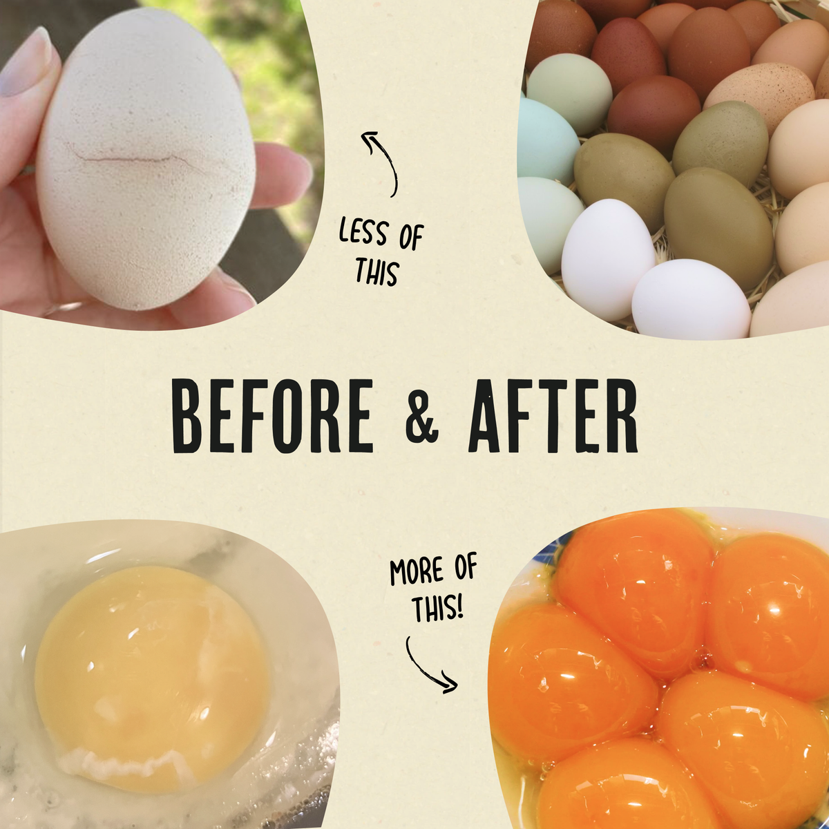 Gold Dust - Daily Egg Booster